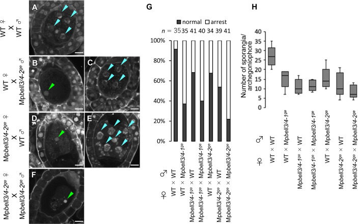 Figure 5—figure supplement 3.