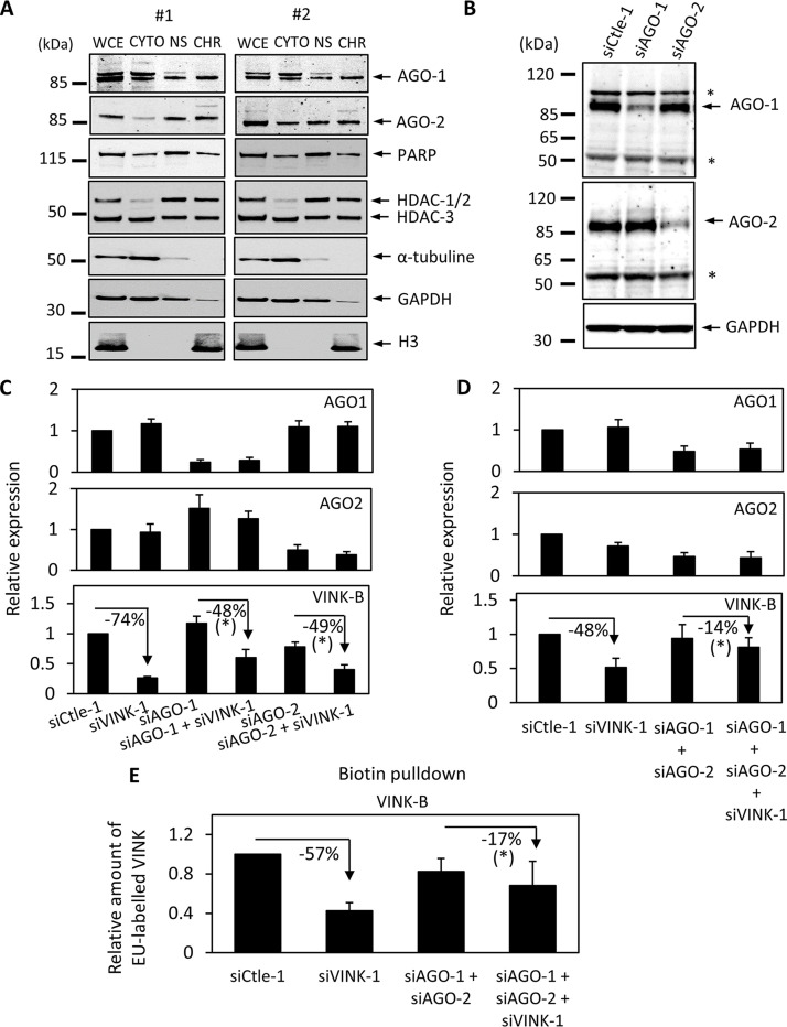 FIG 6