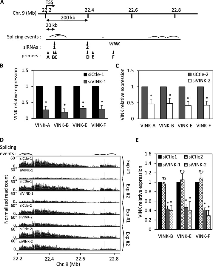 FIG 1