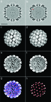 FIG. 4.