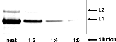 FIG. 2.