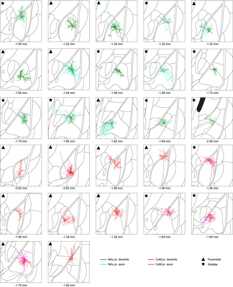 Extended Data Figure 8