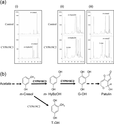 Fig. 5.