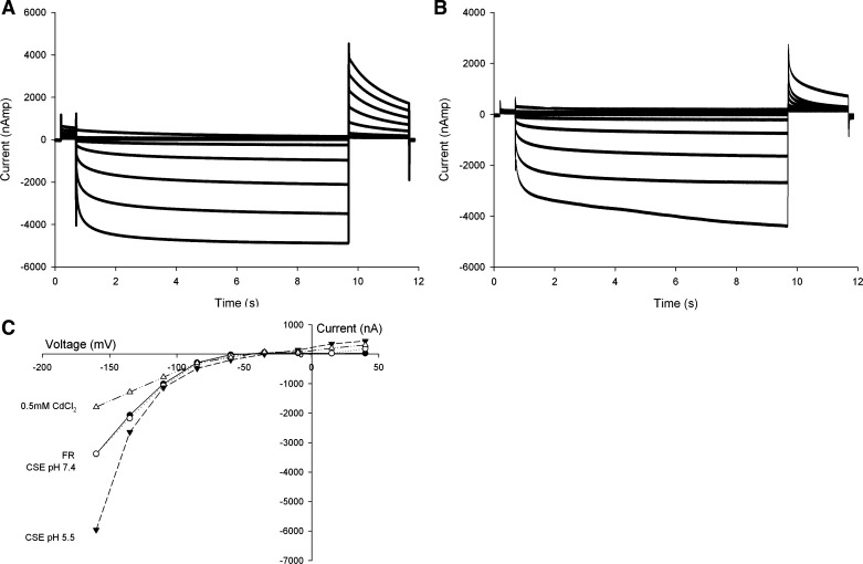 Fig. 8.