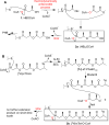 Scheme 3