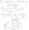 Scheme 4