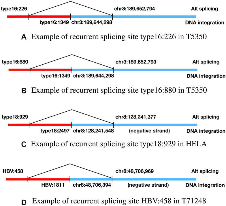 Figure 10.