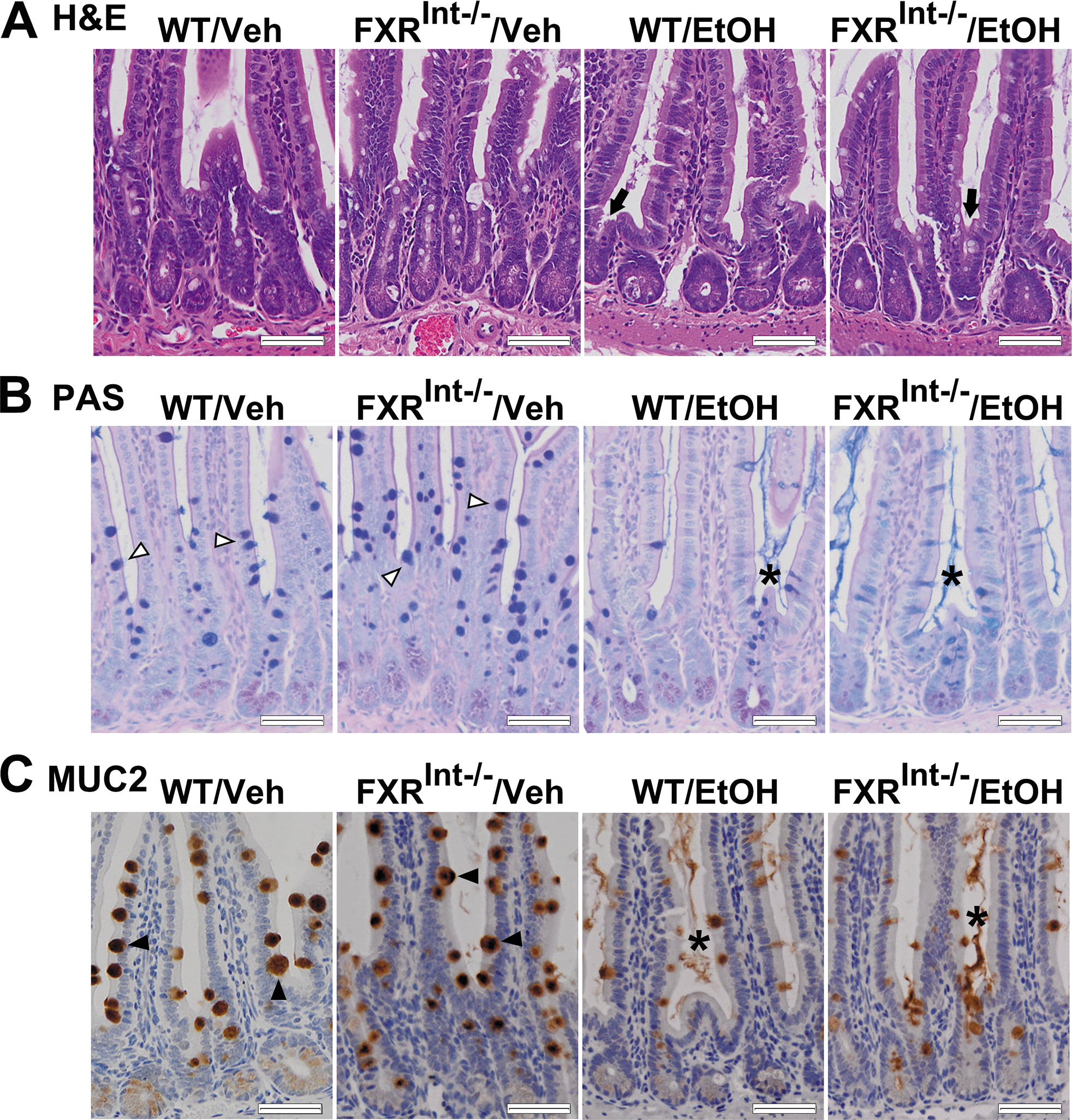 Figure 5: