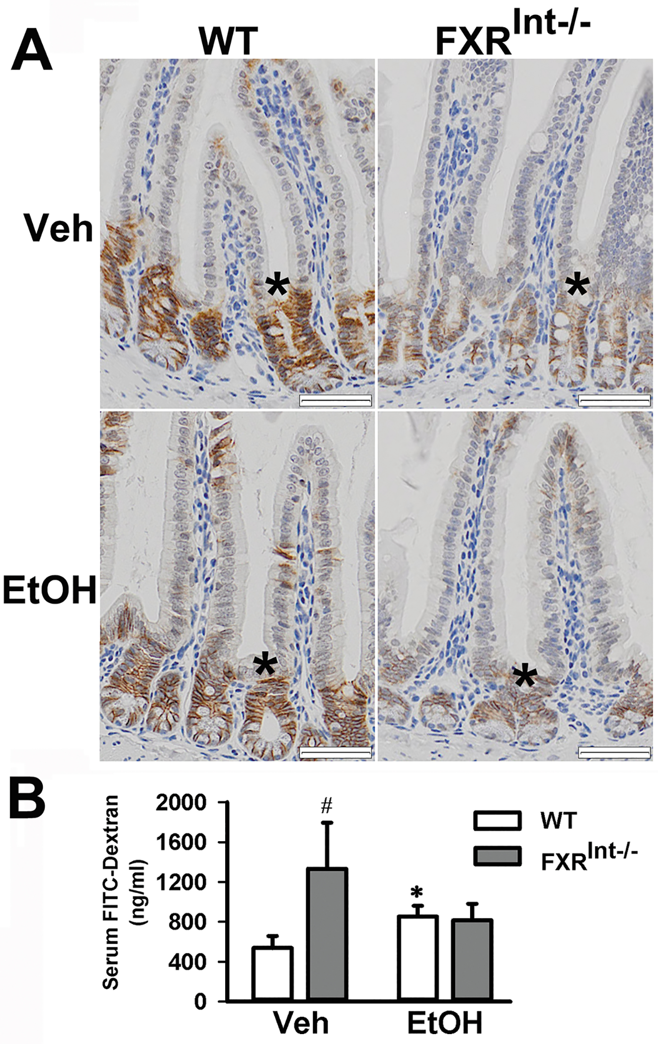 Figure 6: