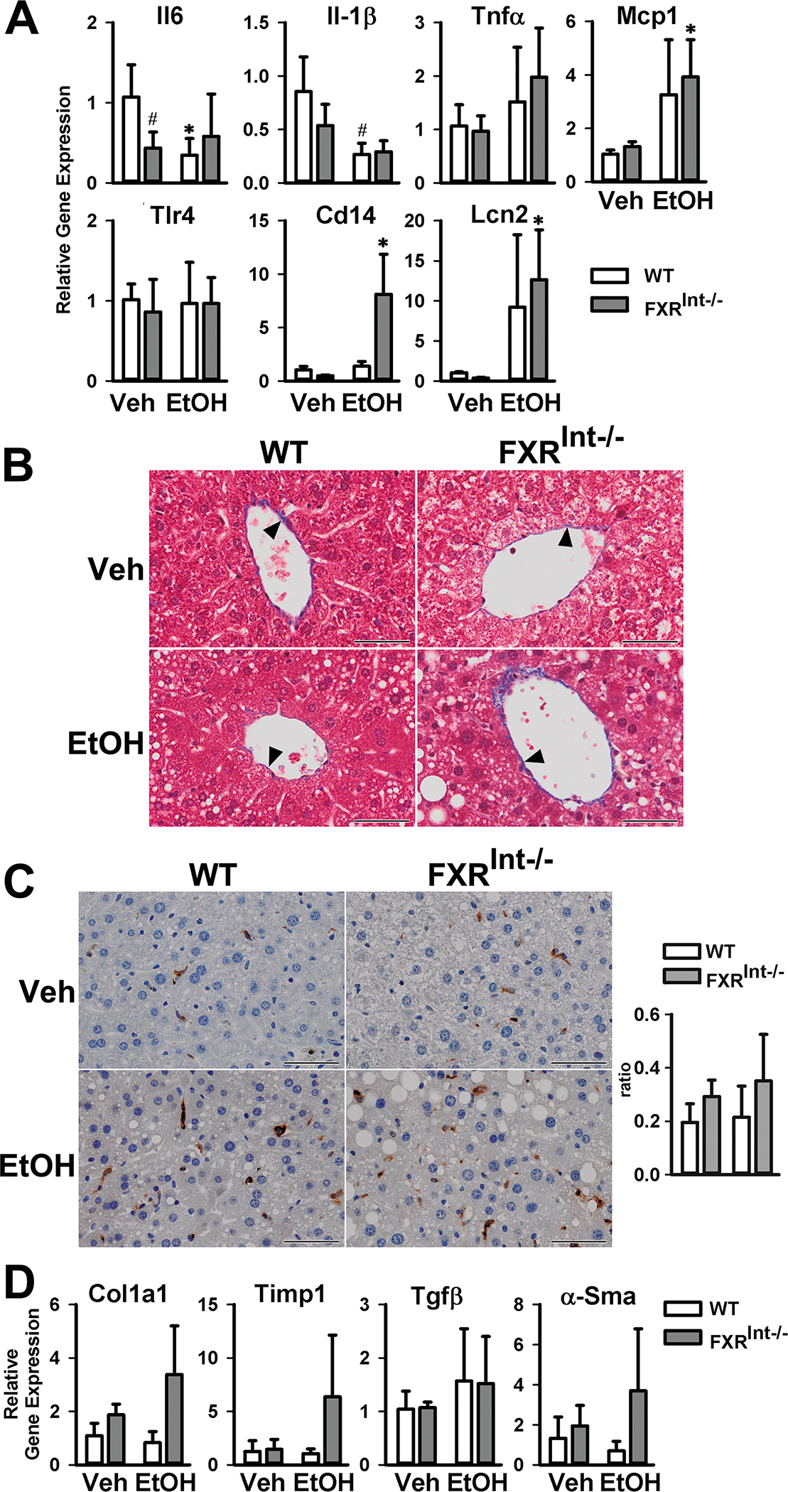 Figure 2: