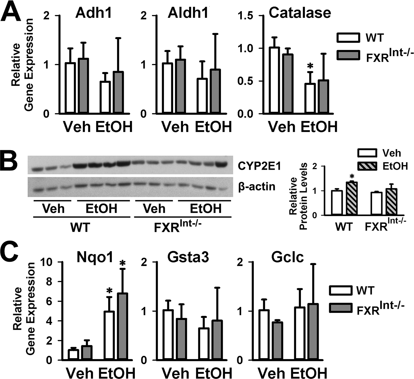 Figure 4: