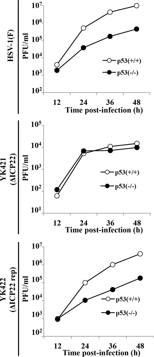 Fig 5