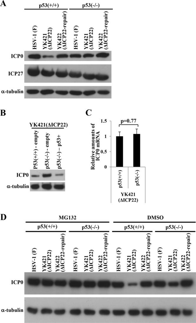 Fig 10