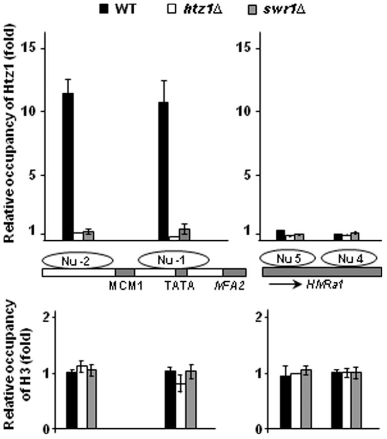 Figure 3.