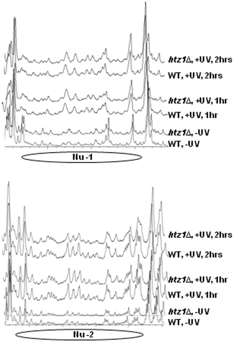 Figure 5.