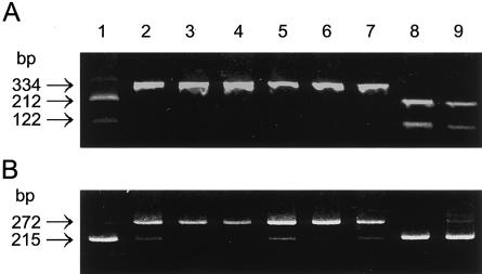 Figure  6