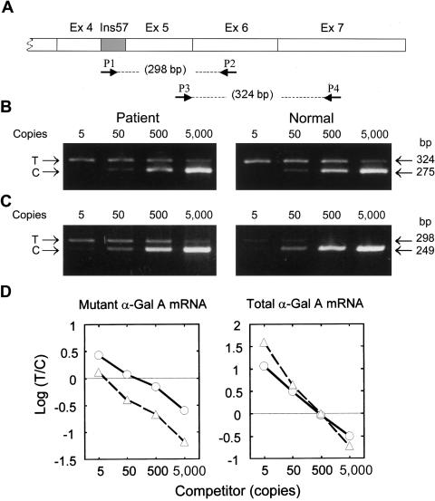 Figure  3