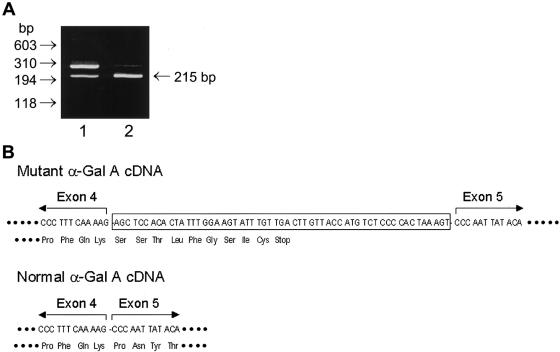 Figure  1