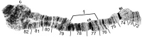 Fig 12