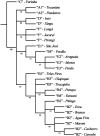 Fig 15
