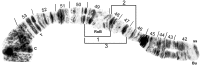 Fig 8
