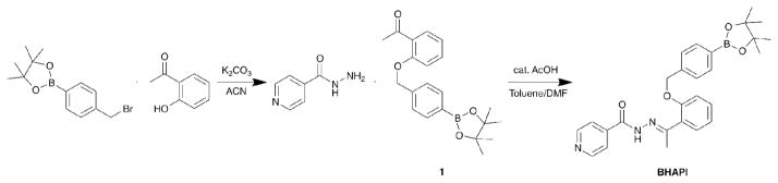 Scheme 1