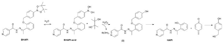 Scheme 2