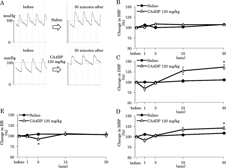 Fig.
4.