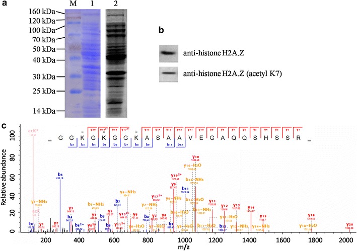 Fig. 3