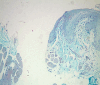 Fig 5a to f