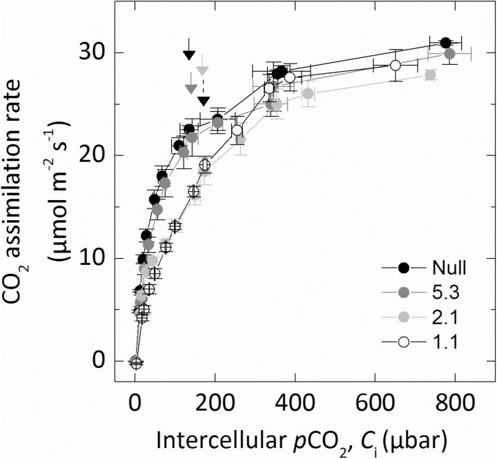 Fig. 3.