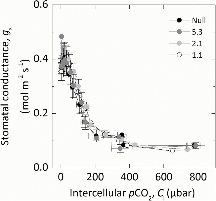 Fig. 5.