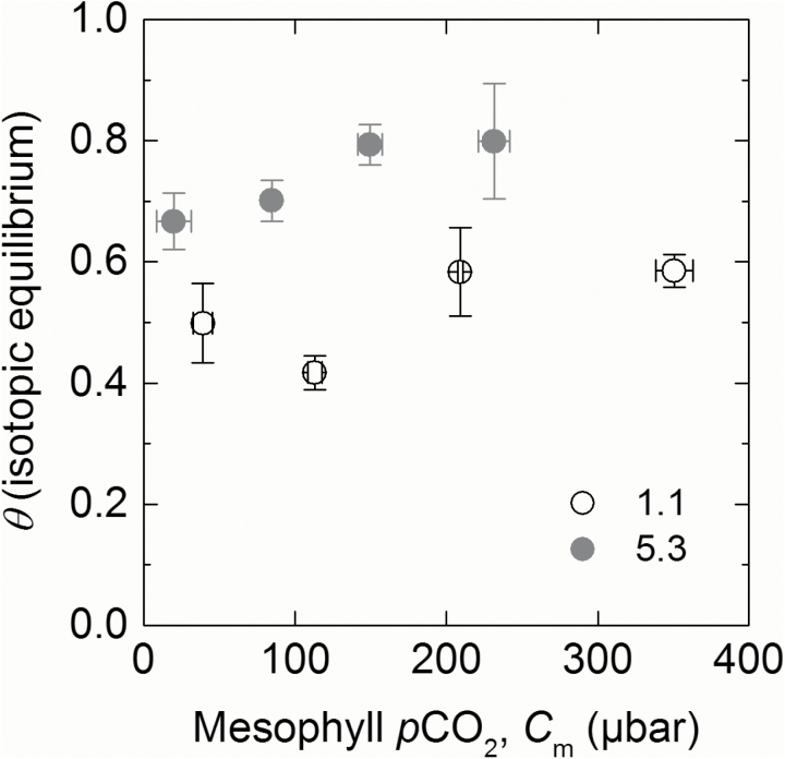 Fig. 8.