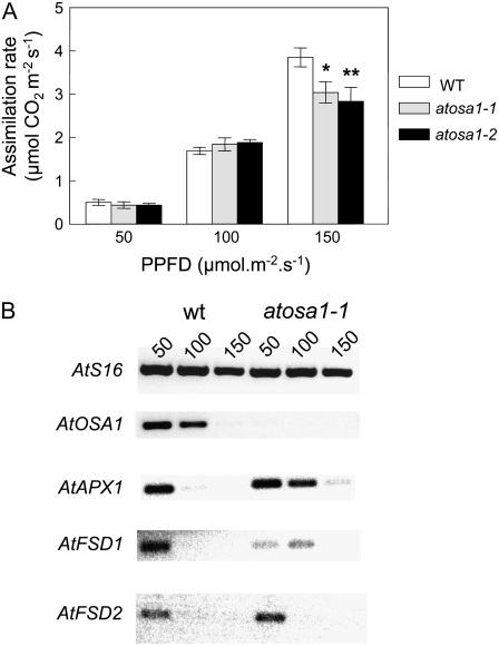 Figure 10.