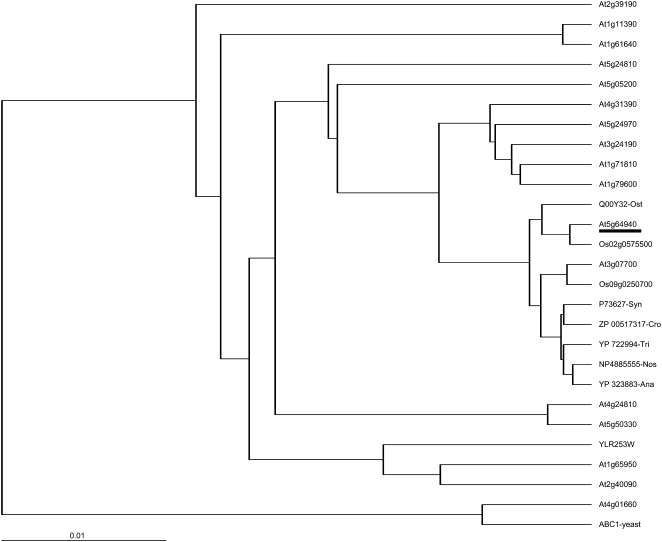 Figure 3.