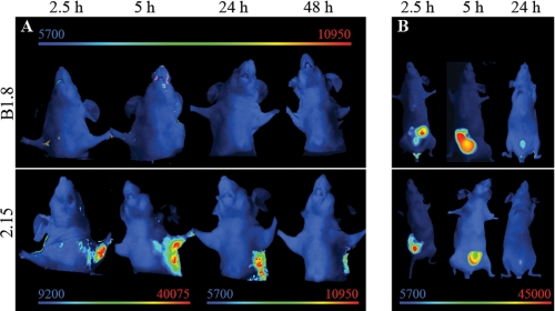 FIGURE 5.