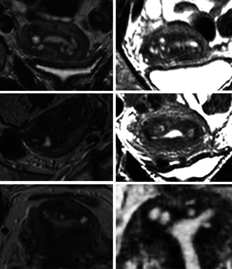 Fig. 8