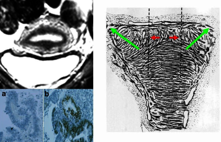 Fig. 10