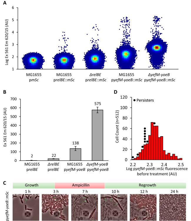 FIG 4 