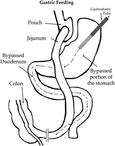 Fig. 1.