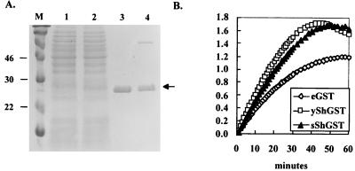 FIG. 5