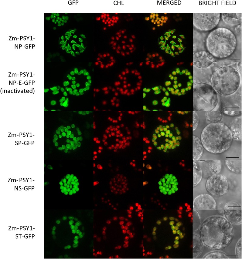 Figure 6.