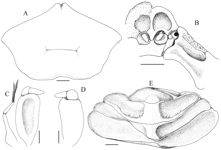 Figure 5.