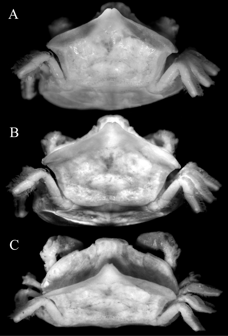 Figure 2.