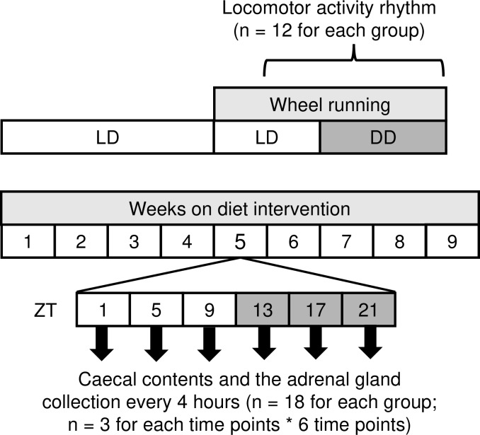 Fig 1