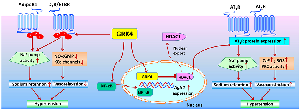 Fig. 2.