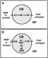 Figure 10.