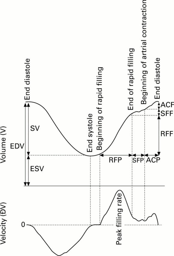 Figure 1  