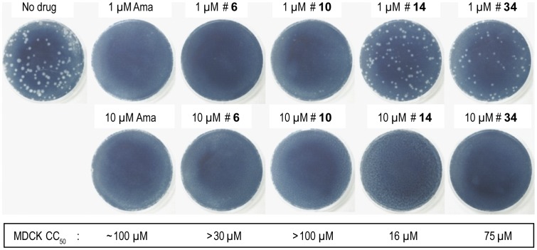 Figure 6