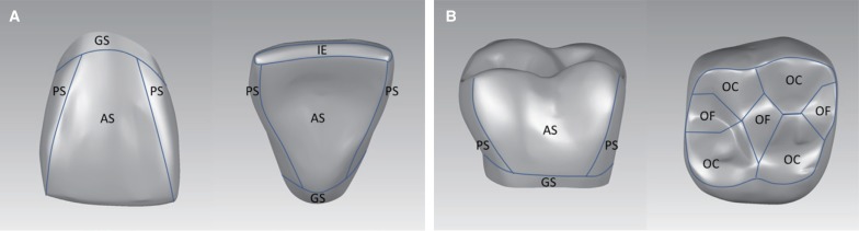 Fig. 1